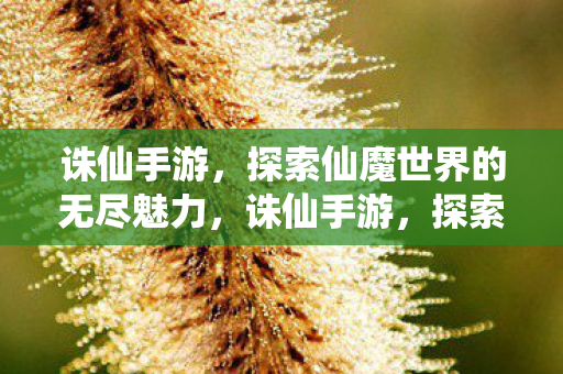 诛仙手游，探索仙魔世界的无尽魅力，诛仙手游，探索仙魔世界的无尽魅力
