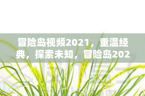 冒险岛视频2021图片