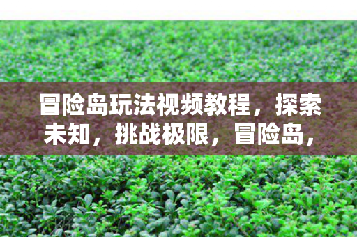 挑战极限的玩法视频教程图片