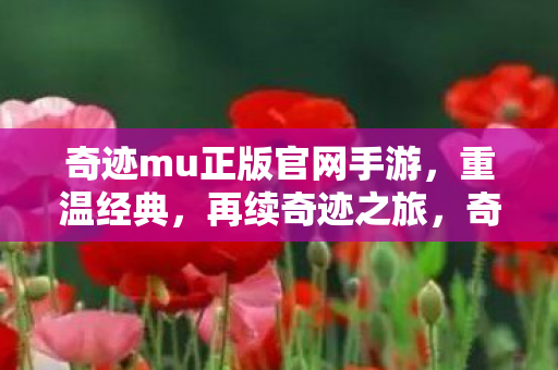 奇迹mu正版官网手游图片