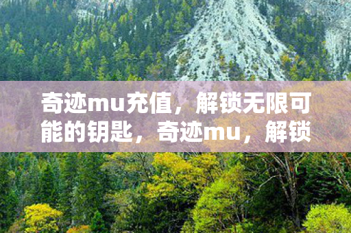 解锁无限可能的充值钥匙图片
