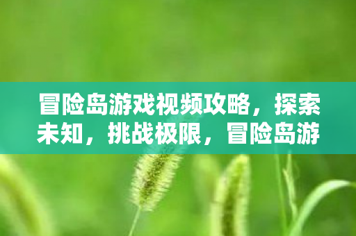 冒险岛游戏视频攻略图片
