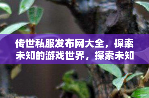 传世私服发布网大全，探索未知的游戏世界，探索未知游戏世界，传世私服发布网大全