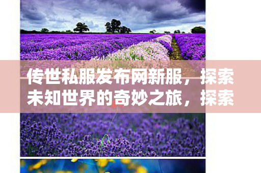传世私服发布网新服,探索未知世界的奇妙之旅,探索未知世界的奇妙之旅,传世私服发布网新服开启 传世私服发布网新服,探索未知世界的奇妙之旅,探索未知世界的奇妙之旅,传世私服发布网新服开启