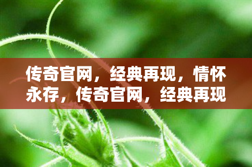 传奇官网,经典再现,情怀永存,传奇官网,经典再现,情怀永存 传奇官网,经典再现,情怀永存,传奇官网,经典再现,情怀永存