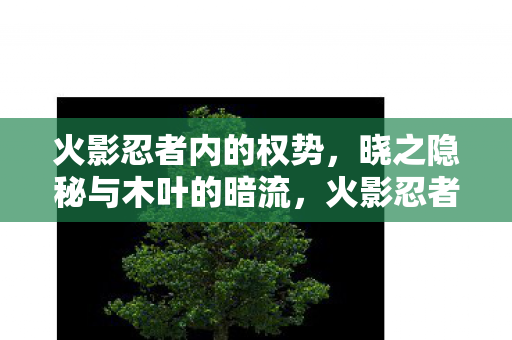 火影忍者内的权势,晓之隐秘与木叶的暗流,火影忍者中的权力斗争,晓之隐秘与木叶的暗流 火影忍者内的权势,晓之隐秘与木叶的暗流,火影忍者中的权力斗争,晓之隐秘与木叶的暗流