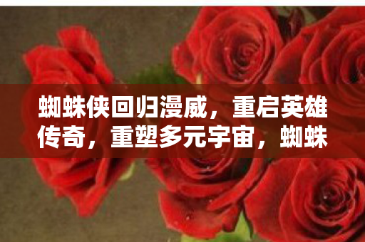 蜘蛛侠回归漫威,重启英雄传奇,重塑多元宇宙,蜘蛛侠重启,多元宇宙的英雄传奇 蜘蛛侠回归漫威,重启英雄传奇,重塑多元宇宙,蜘蛛侠重启,多元宇宙的英雄传奇