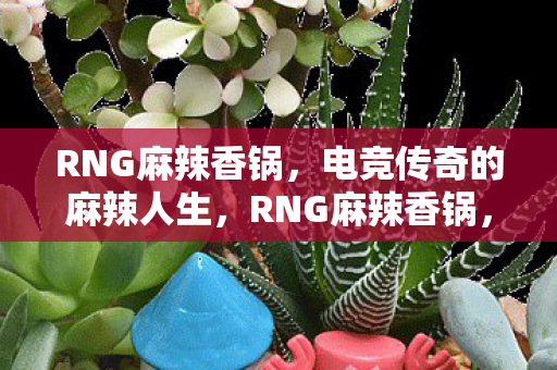 RNG麻辣香锅,电竞传奇的麻辣人生,RNG麻辣香锅,电竞传奇的麻辣人生 RNG麻辣香锅,电竞传奇的麻辣人生,RNG麻辣香锅,电竞传奇的麻辣人生