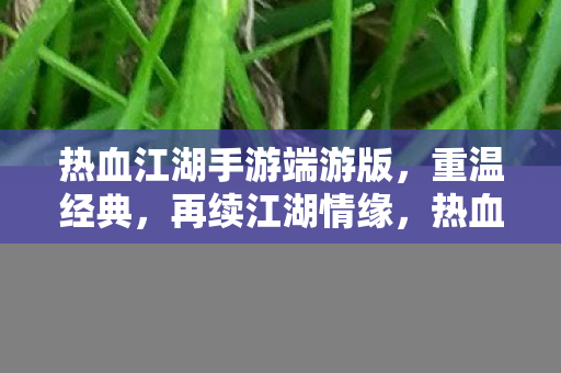 热血江湖手游端游版图片
