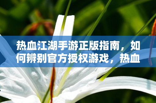 热血江湖手游正版辨别指南图片