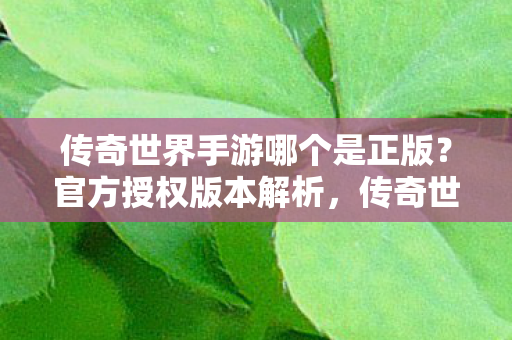 传奇世界手游哪个是正版？官方授权版本解析，传奇世界手游官方授权版本解析