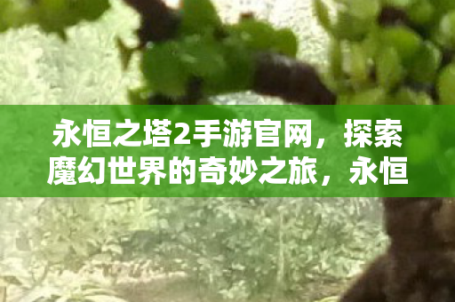 探索魔幻世界的奇妙之旅图片
