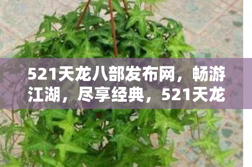 521天龙八部发布网,畅游江湖,尽享经典,521天龙八部发布网,畅游江湖,尽享经典武侠世界 521天龙八部发布网,畅游江湖,尽享经典,521天龙八部发布网,畅游江湖,尽享经典武侠世界