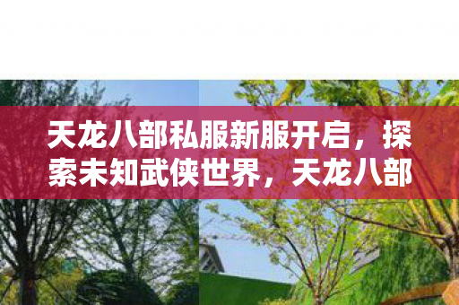 天龙八部私服新服开启,探索未知武侠世界,天龙八部私服新服开启,探索未知武侠世界 天龙八部私服新服开启,探索未知武侠世界,天龙八部私服新服开启,探索未知武侠世界