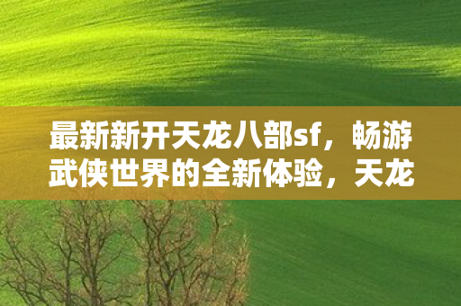 最新新开天龙八部sf,畅游武侠世界的全新体验,天龙八部全新私服开启,畅游武侠世界的极致体验 最新新开天龙八部sf,畅游武侠世界的全新体验,天龙八部全新私服开启,畅游武侠世界的极致体验