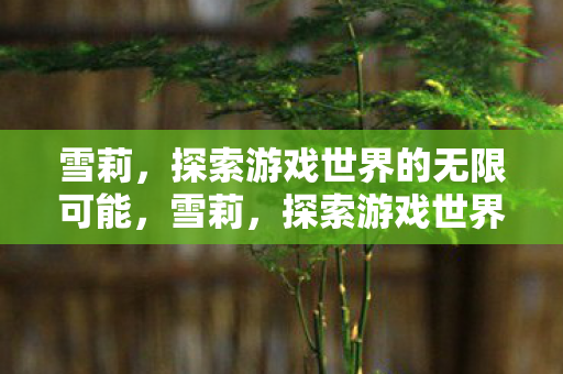 雪莉，探索游戏世界的无限可能，雪莉，探索游戏世界的无限可能