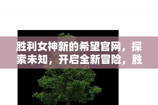 胜利女神新的希望官网，探索未知，开启全新冒险，胜利女神新希望官网，探索未知，开启全新冒险之旅