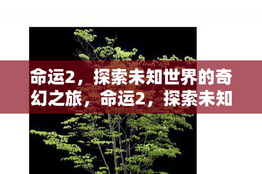 命运2,探索未知世界的奇幻之旅,命运2,探索未知世界的奇幻之旅 命运2,探索未知世界的奇幻之旅,命运2,探索未知世界的奇幻之旅