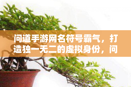 打造独一无二的虚拟身份图片