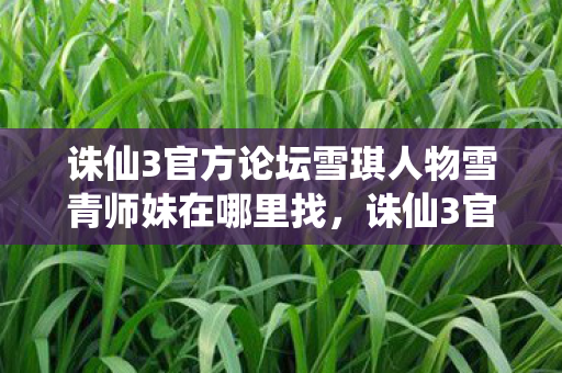 诛仙3官方论坛雪琪人物雪青师妹在哪里找,诛仙3官方论坛雪青师妹寻找攻略 诛仙3官方论坛雪琪人物雪青师妹在哪里找,诛仙3官方论坛雪青师妹寻找攻略