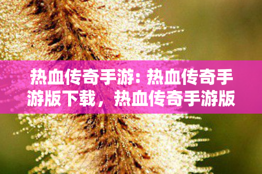 热血传奇手游版下载开启图片