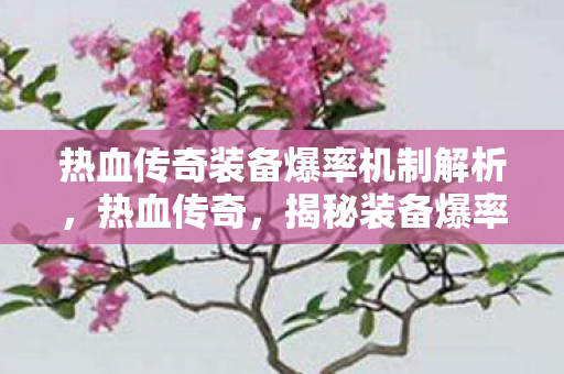 热血传奇装备爆率机制解析图片