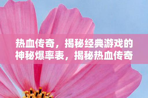 揭秘经典游戏的神秘爆率表图片