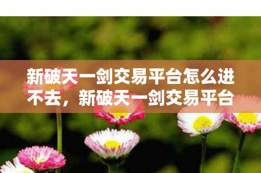 新破天一剑交易平台无法登录的解决方法图片