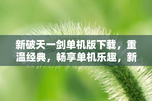 新破天一剑单机版下载图片