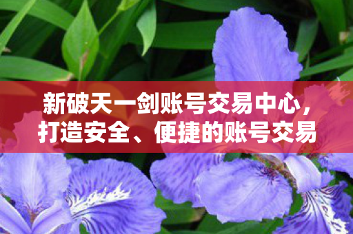 新破天一剑账号交易中心图片
