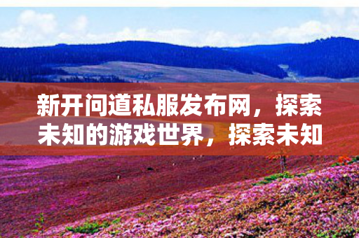 新开问道私服发布网来袭图片