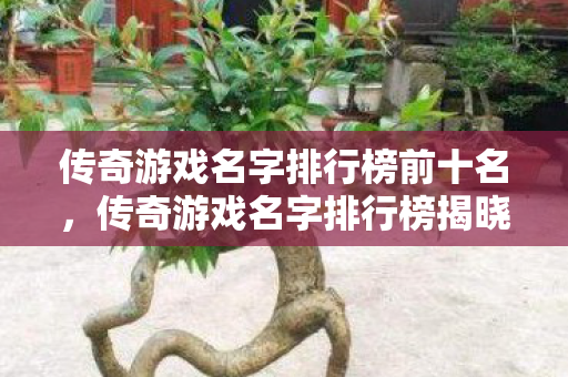 传奇游戏名字排行榜前十名，传奇游戏名字排行榜揭晓，前十名精彩纷呈！