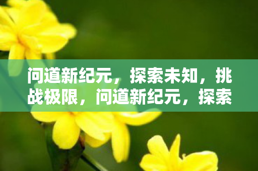 问道新纪元图片