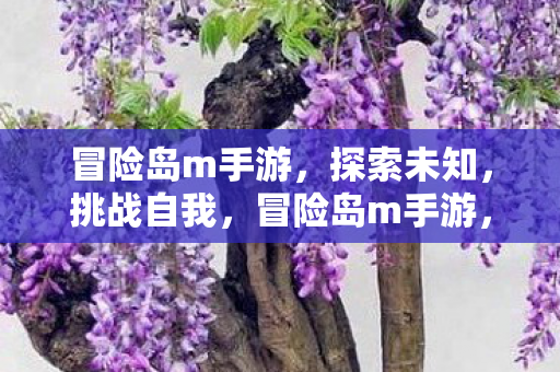 冒险岛m手游图片