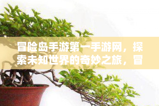 探索未知世界的奇妙之旅图片