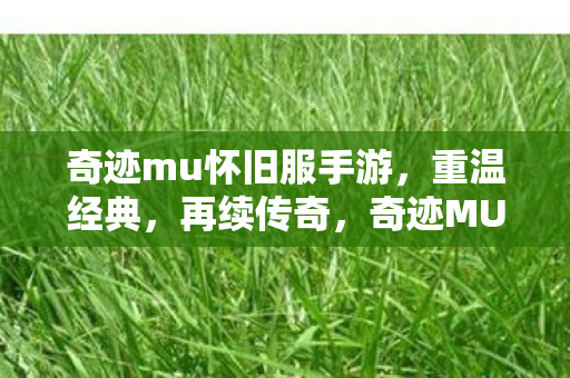 奇迹mu怀旧服手游图片
