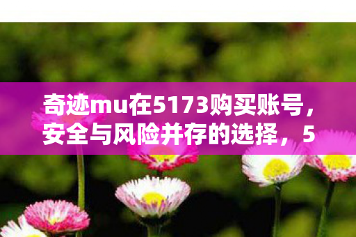 奇迹mu在5173购买账号图片