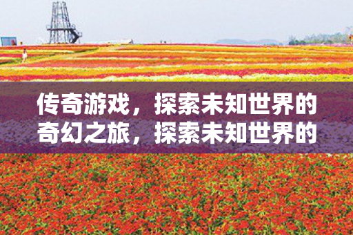 传奇游戏,探索未知世界的奇幻之旅,探索未知世界的奇幻之旅,传奇游戏 传奇游戏,探索未知世界的奇幻之旅,探索未知世界的奇幻之旅,传奇游戏