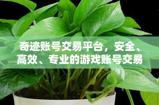 奇迹账号交易平台，安全、高效、专业的游戏账号交易新选择，奇迹账号交易平台，安全、高效、专业的游戏账号交易新选择