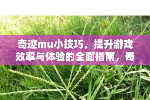 奇迹mu小技巧，提升游戏效率与体验的全面指南，奇迹MU，提升游戏效率与体验的全面指南