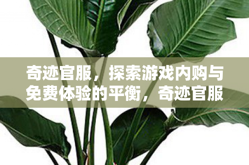 奇迹官服，探索游戏内购与免费体验的平衡，奇迹官服，探索游戏内购与免费体验的平衡之道