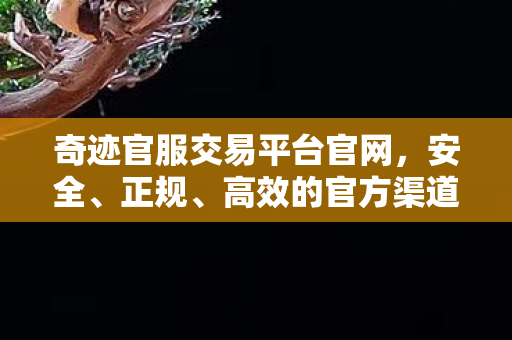 奇迹官服交易平台官网，安全、正规、高效的官方渠道，奇迹官服交易平台，安全、正规、高效的官方渠道