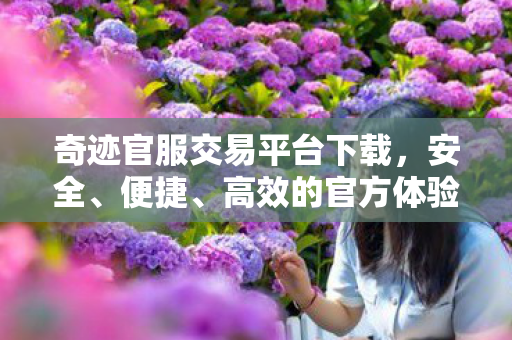 奇迹官服交易平台下载，安全、便捷、高效的官方体验，奇迹官服交易平台，安全、便捷、高效的官方体验下载