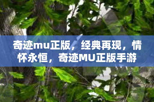 奇迹mu正版，经典再现，情怀永恒，奇迹MU正版手游，经典再现，情怀永恒