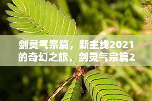 剑灵气宗篇2021奇幻新主线开启图片