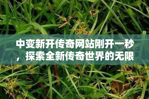探索全新传奇世界的无限可能图片