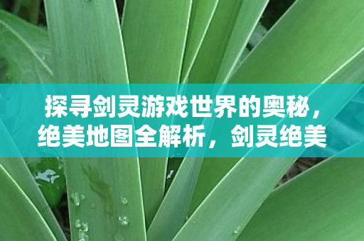 探寻剑灵游戏世界的奥秘图片