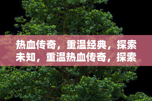 重温热血传奇图片