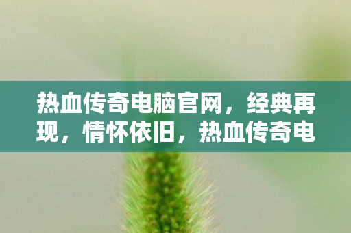 热血传奇电脑版经典再现图片