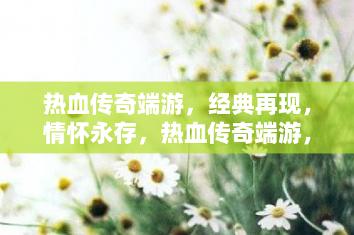 热血传奇端游图片